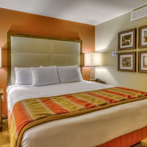 King Bed ADA Accessible Sleeper Sofa & Micro/Fridge